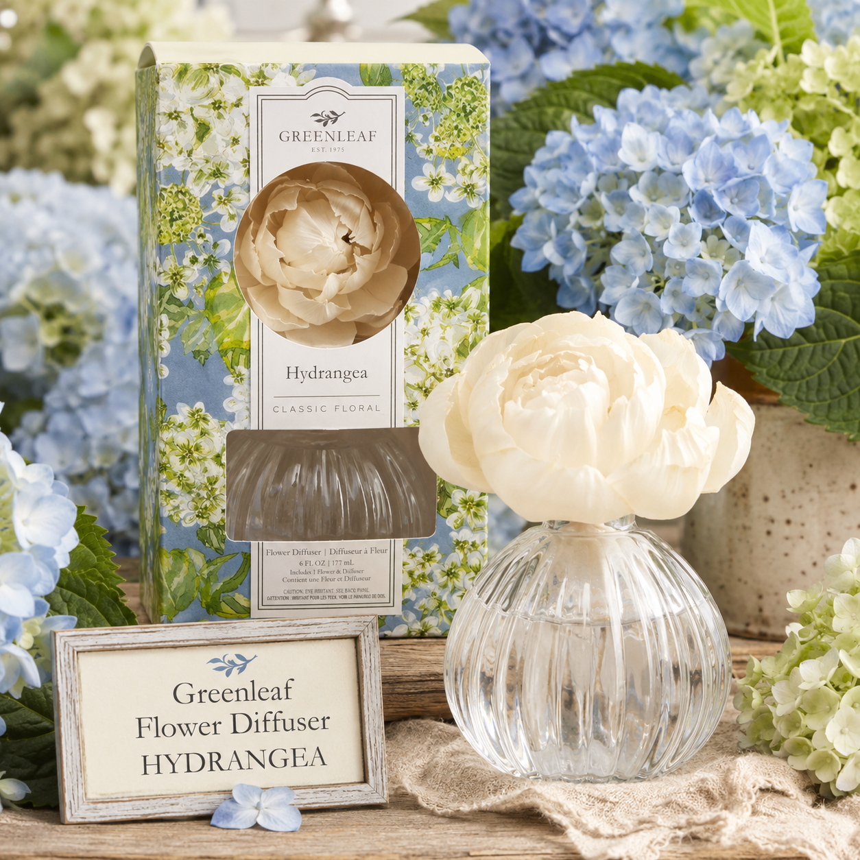 Greenleaf HYDRANGEA