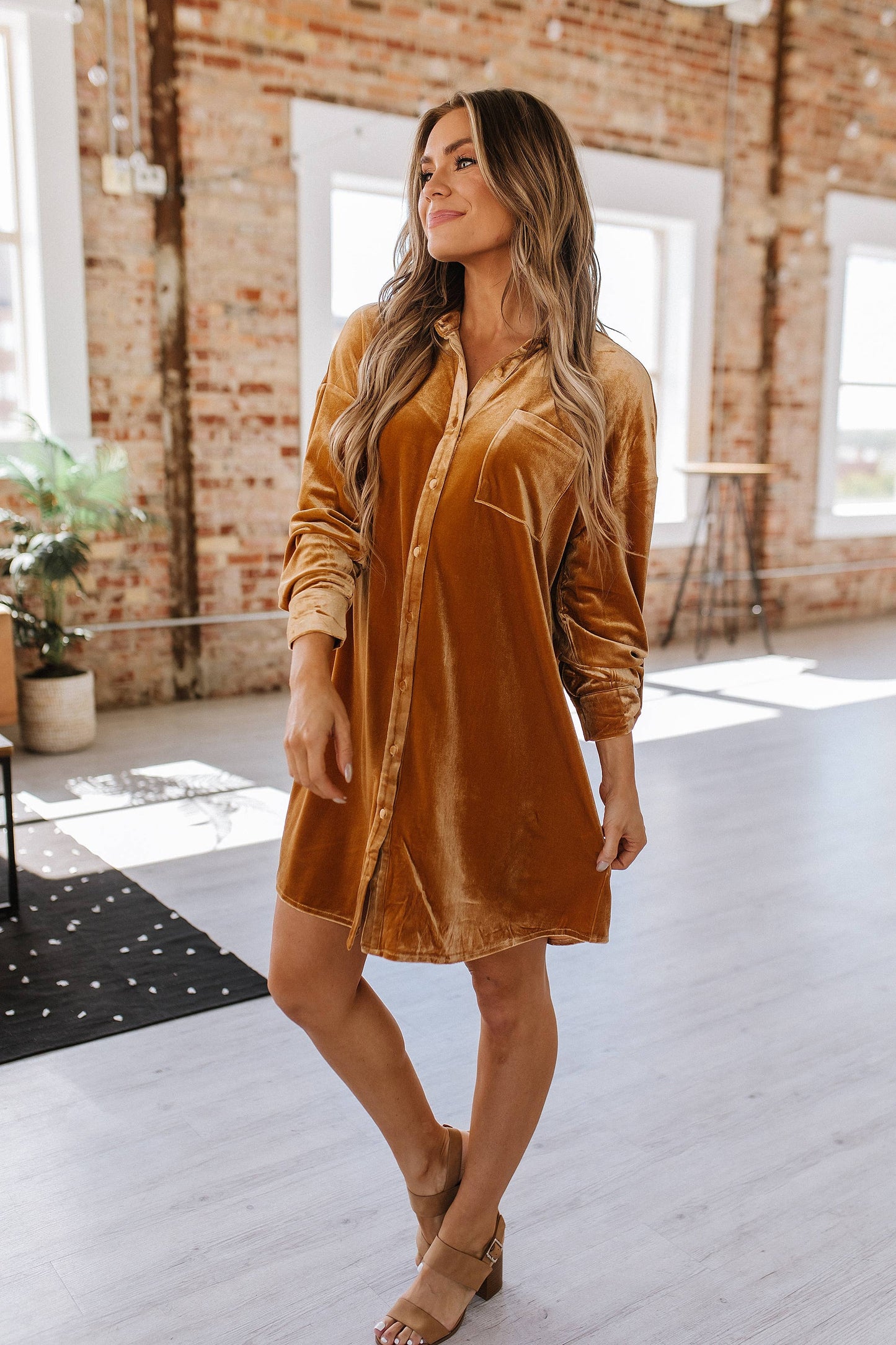 Velvet Dress