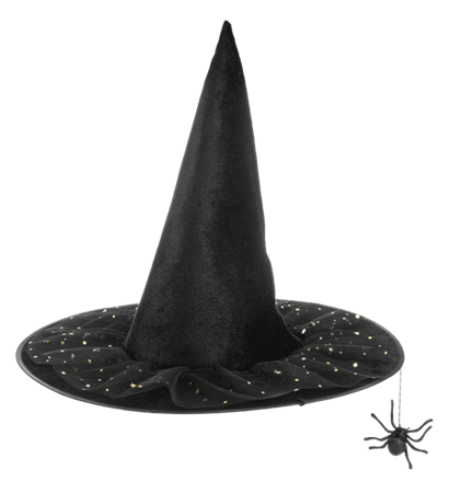 GANZ Witch Hats