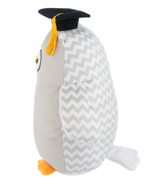 Write-On Graduation Owl
