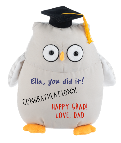 Write-On Graduation Owl