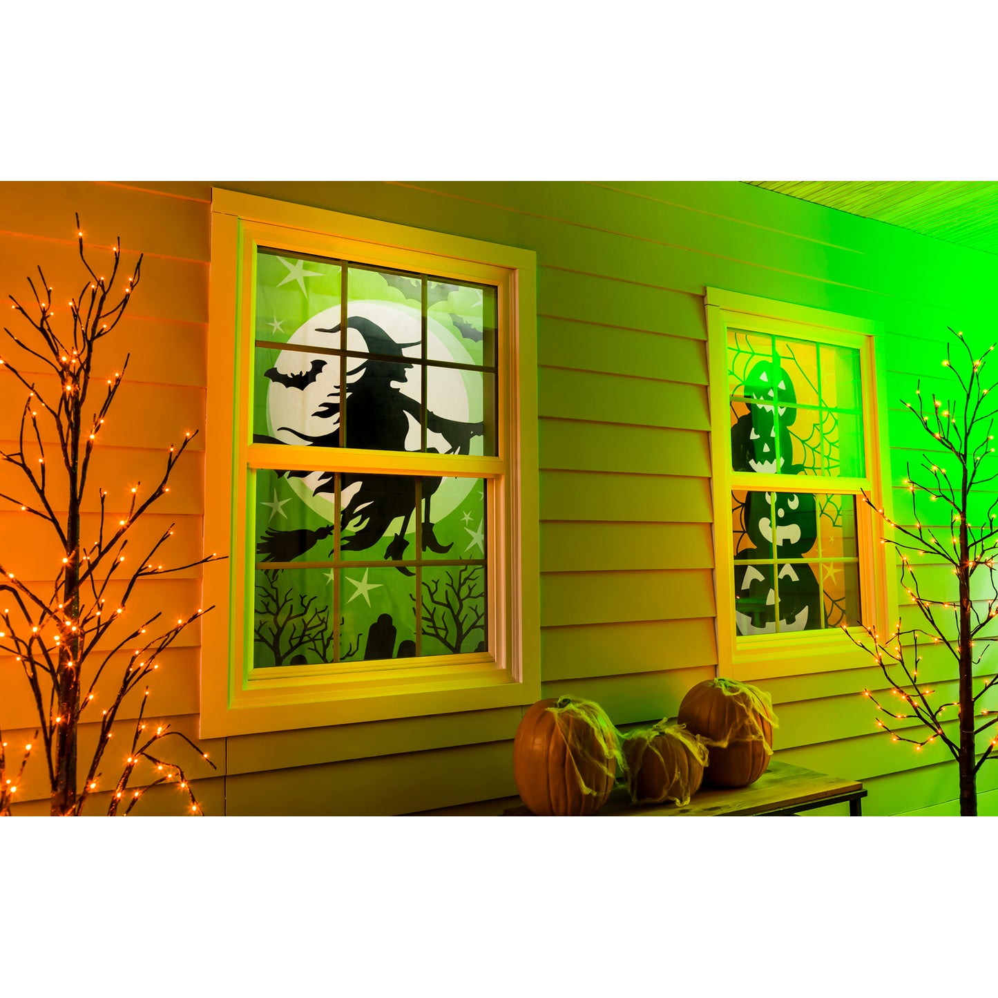 Window Shade/Scapes (Witch)