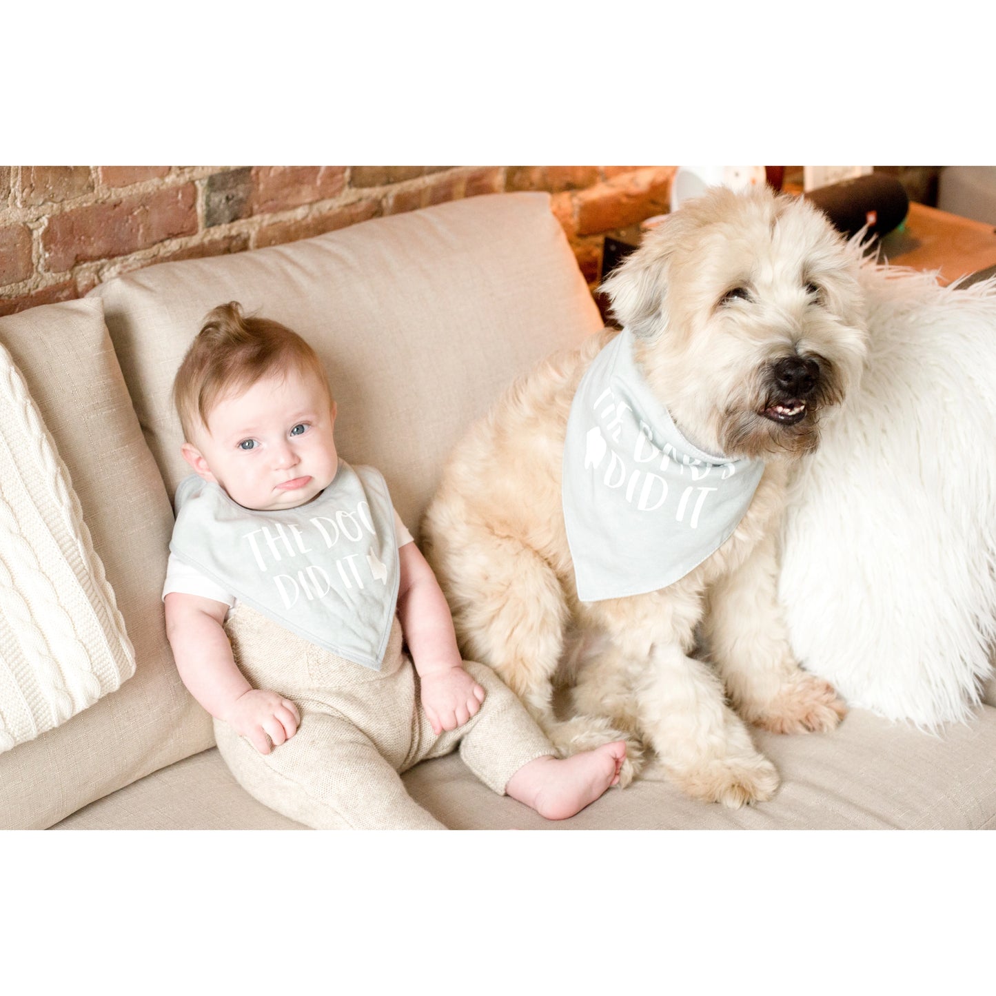 Baby And Pet Bib Set, Gray