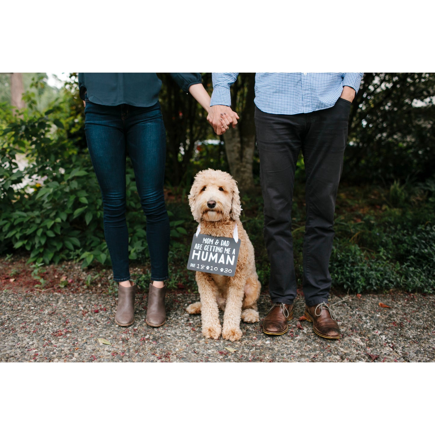 Pet's Baby Announcement