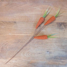 Carrot Stem Orange
