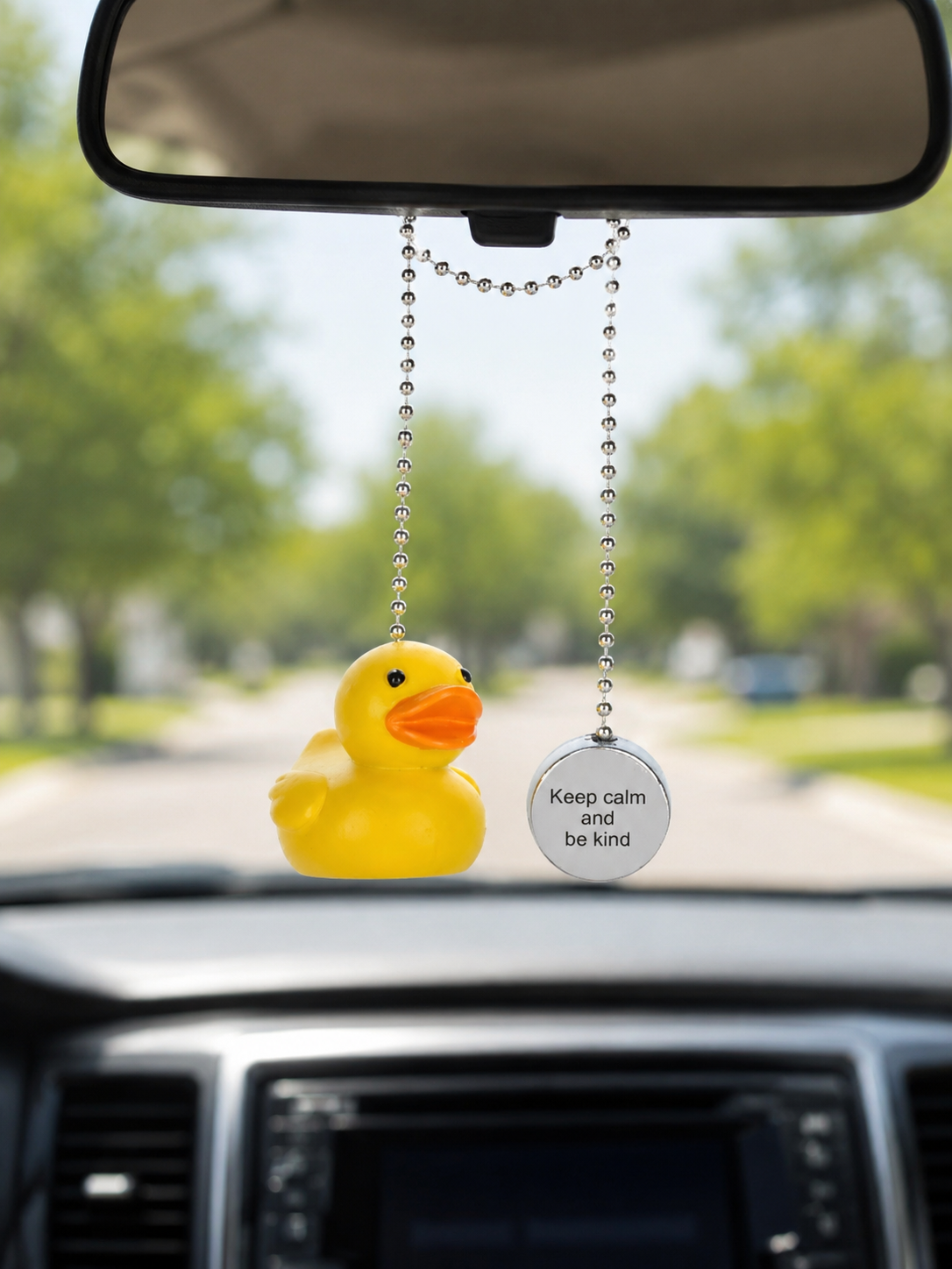 THE QUACKERS Car Charms