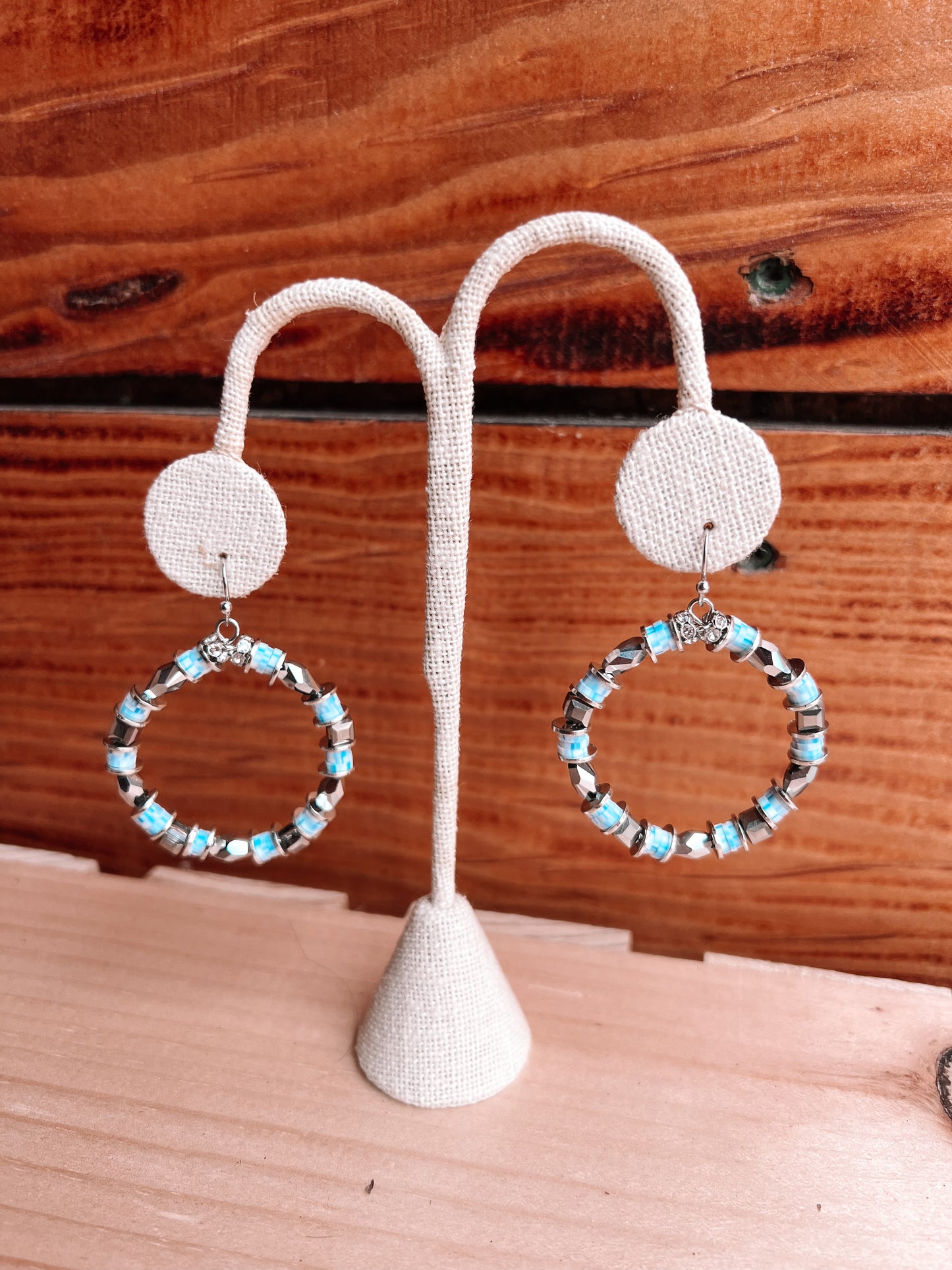 GANZ Circle Dangle Earrings