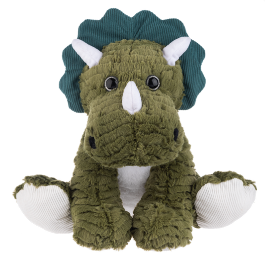 Fossil Furry Dinosaur