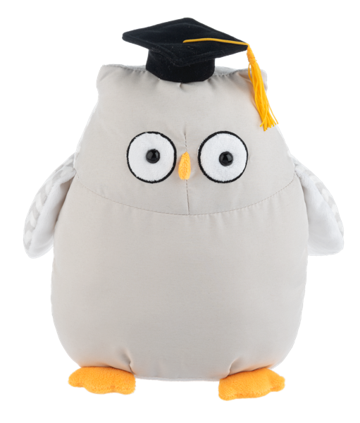 Write-On Graduation Owl
