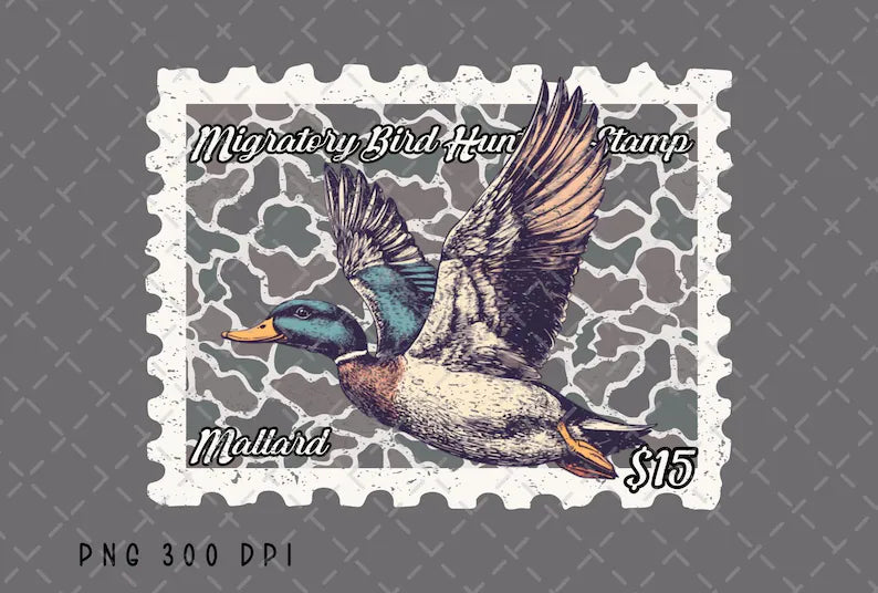 SSC Custom Youth/Children Transfers