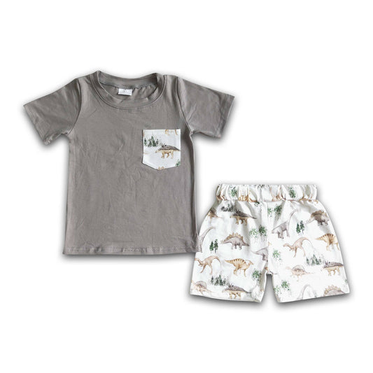 Boy Gray Dinosour Shorts Outfit