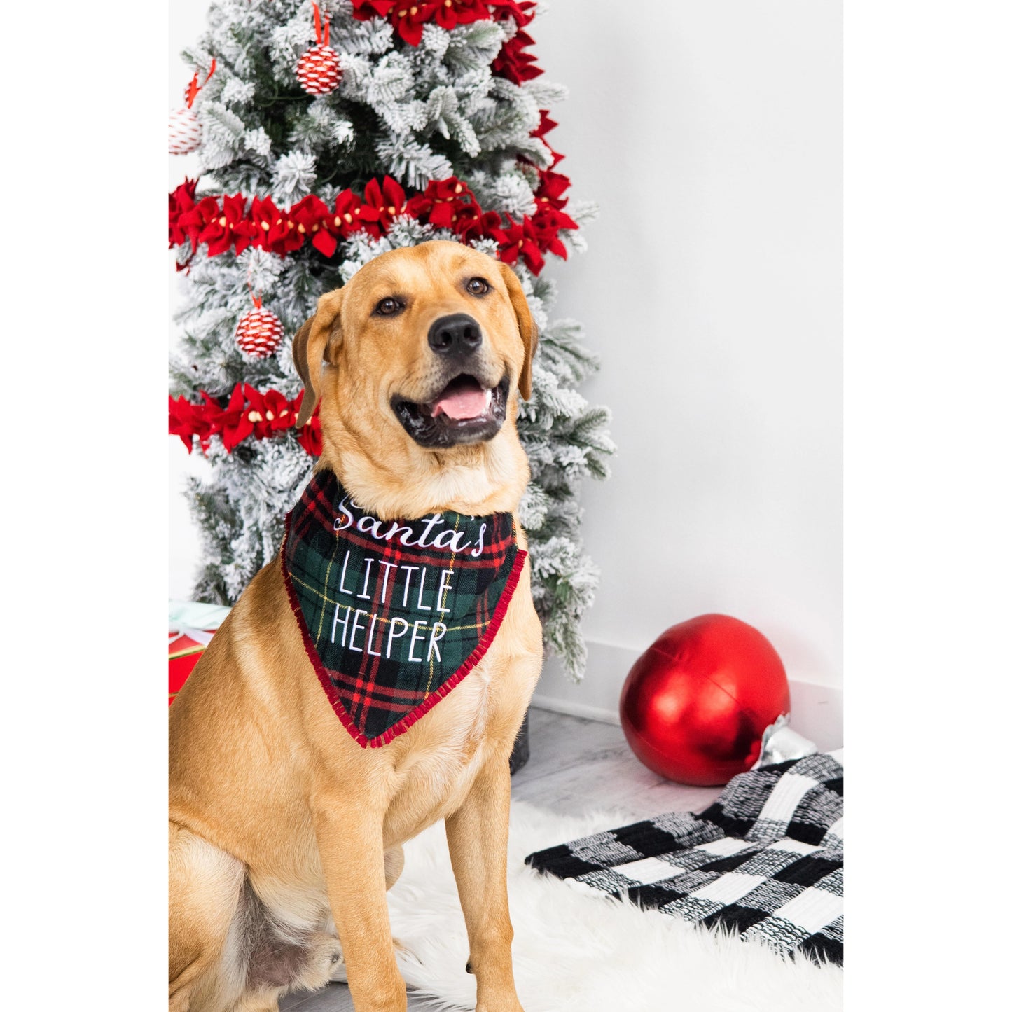 Santa's Little Helper Dog Bandana