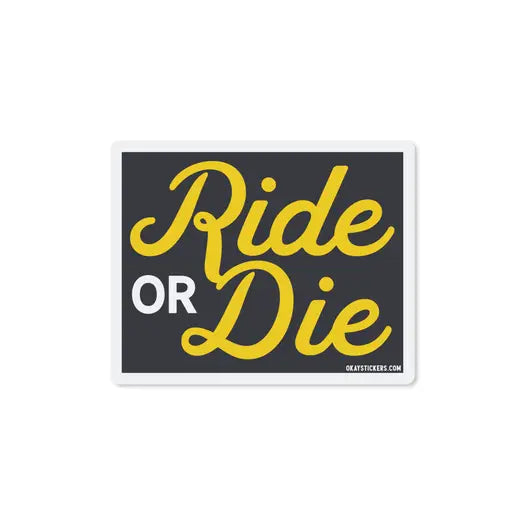GOOD SOUTHERNER Stickers