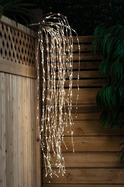 Weeping Willow Branches