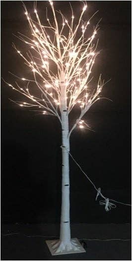 White Birch Tree On Metal Base