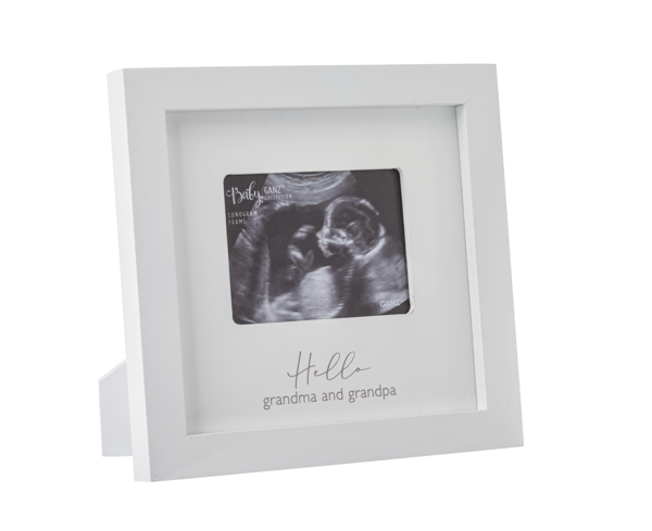 Ganz Sonogram Frames