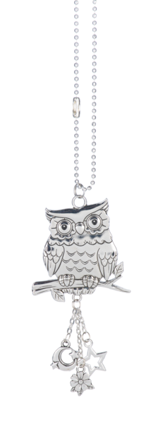 GANZ Car Charm Owl