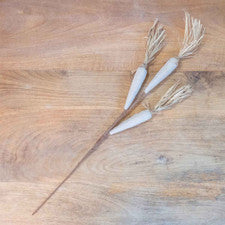 Carrot Stem Natural